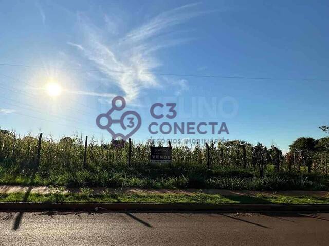 #151 - Área para Venda em Dourados - MS